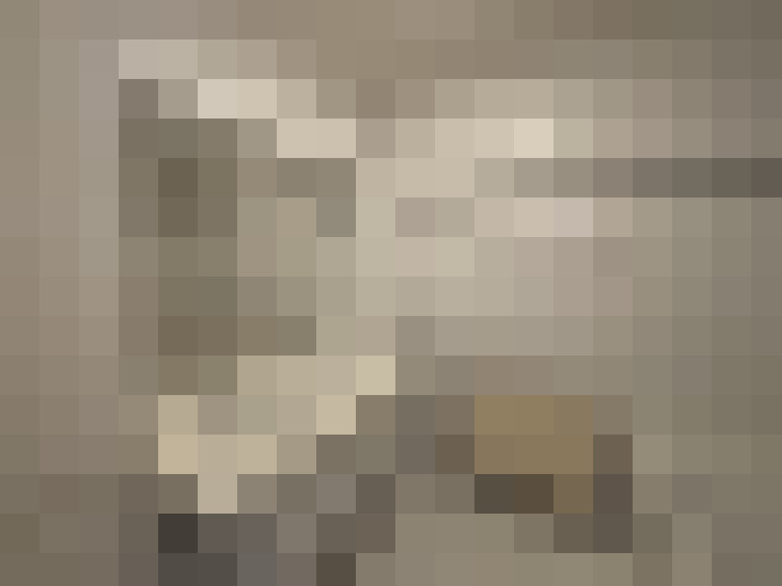  / #22