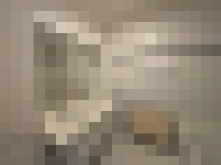  / #24