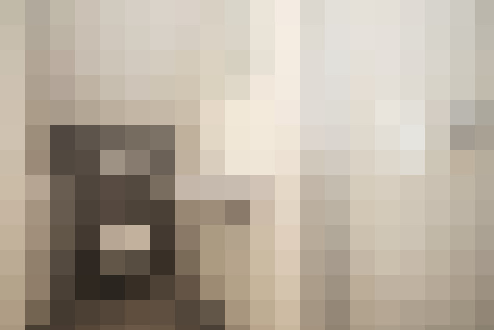  / #19