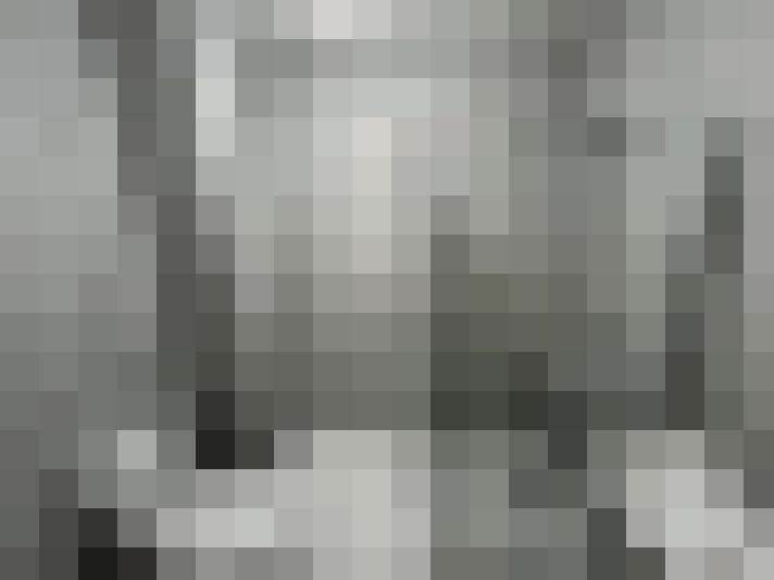  / #31