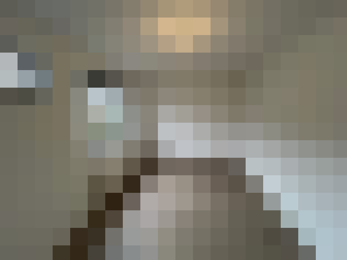  / #24