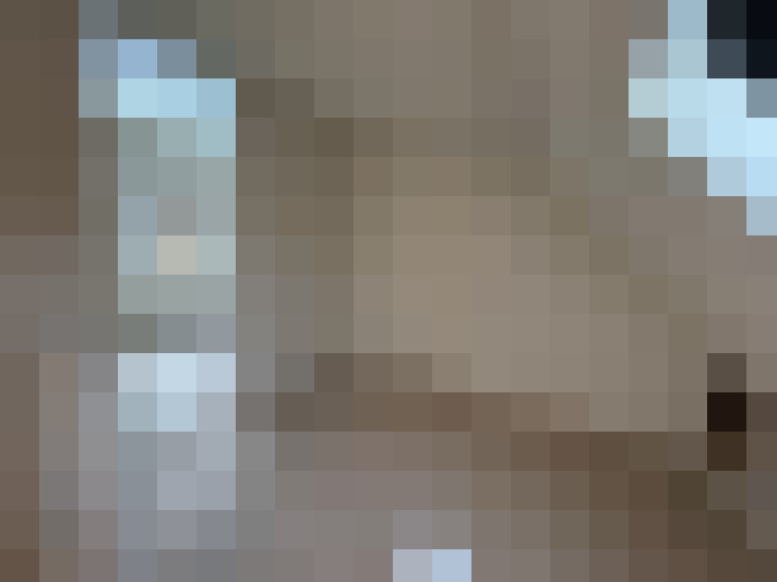  / #34