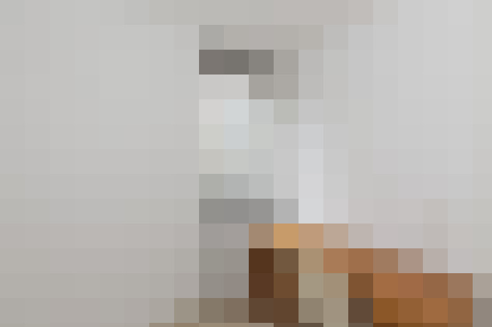  / #25