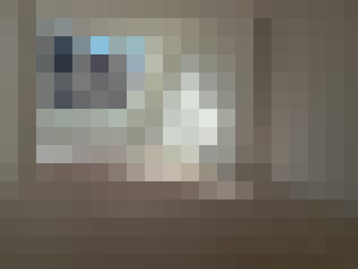  / #15