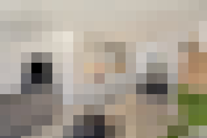  / #21
