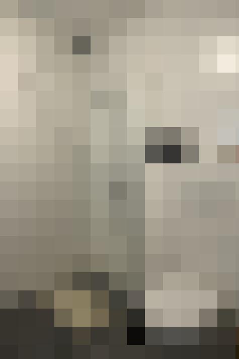  / #14