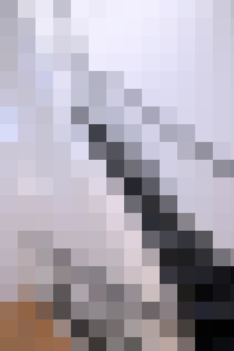 / #12