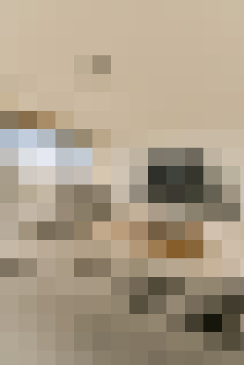  / #31
