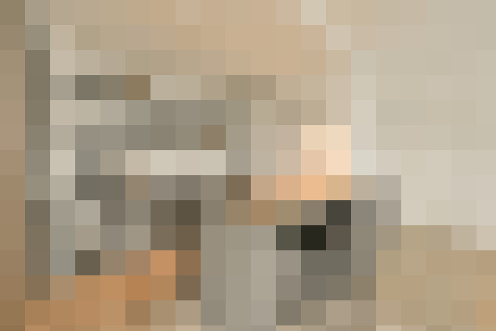  / #23