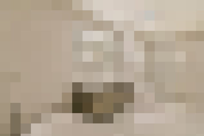  / #36