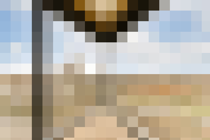  / #11