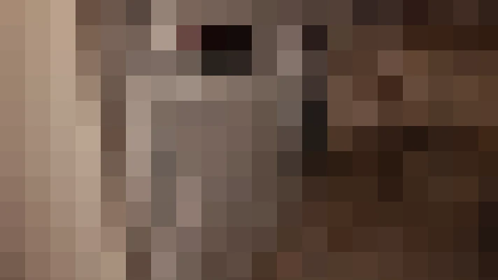  / #13