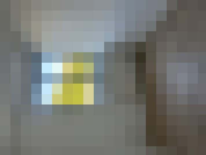  / #66