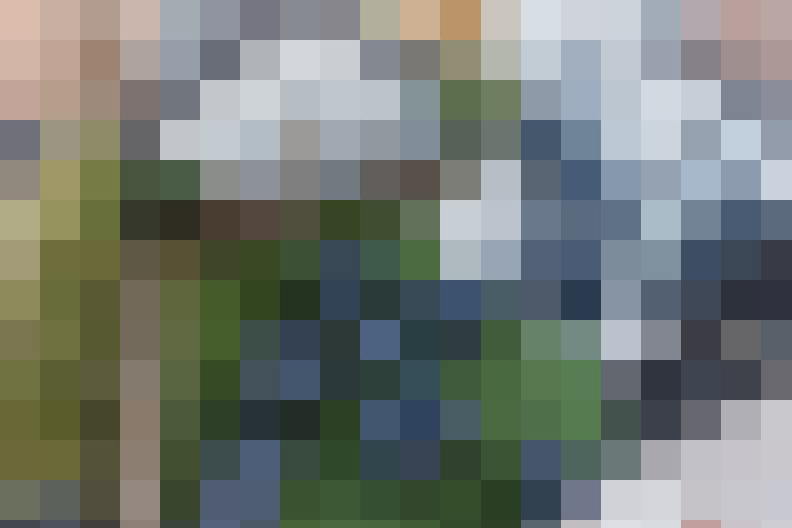  / #61