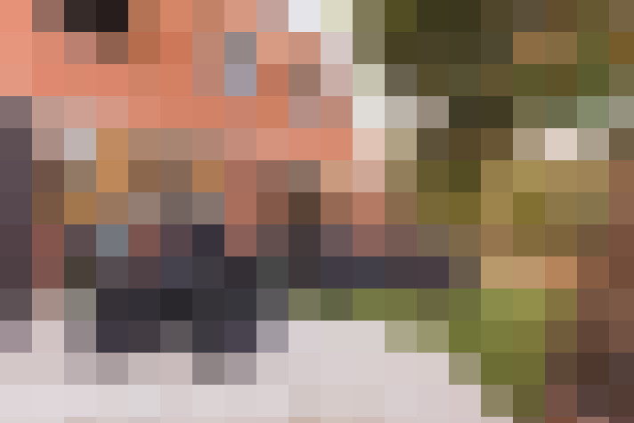  / #66