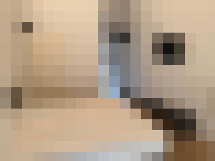  / #15