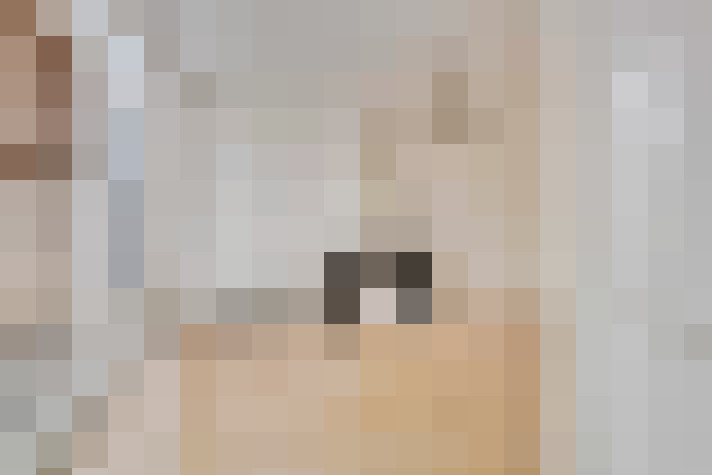  / #11