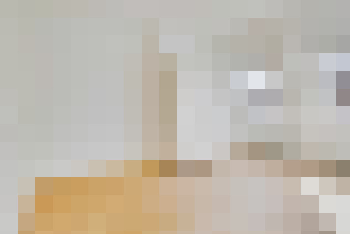  / #19