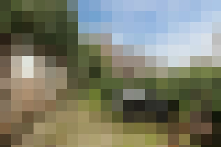  / #61