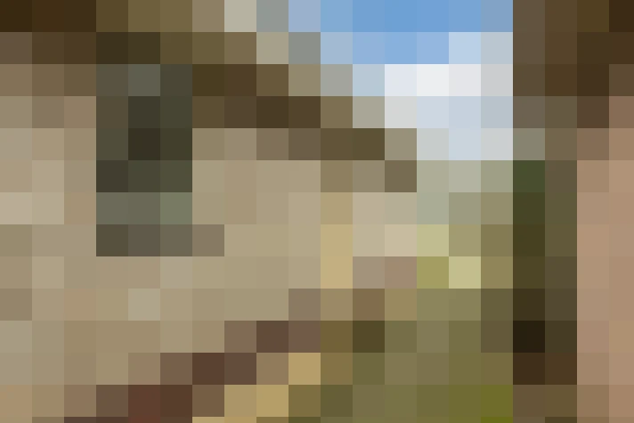  / #63