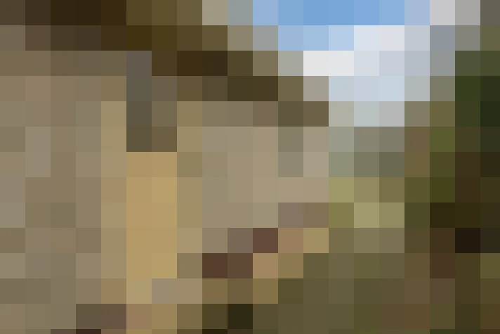  / #64