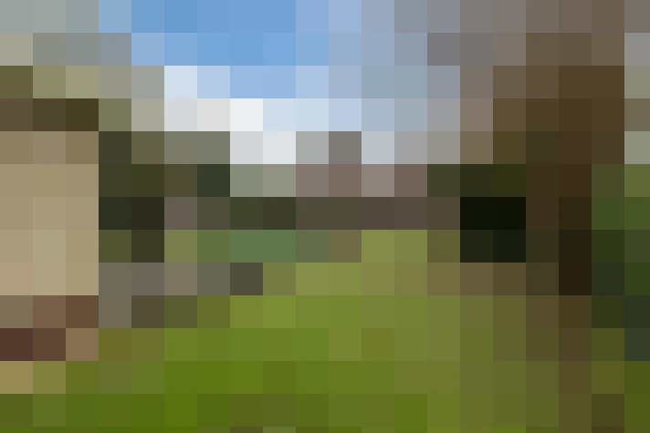  / #53