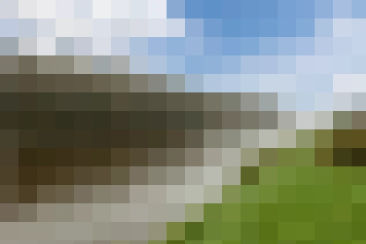  / #66
