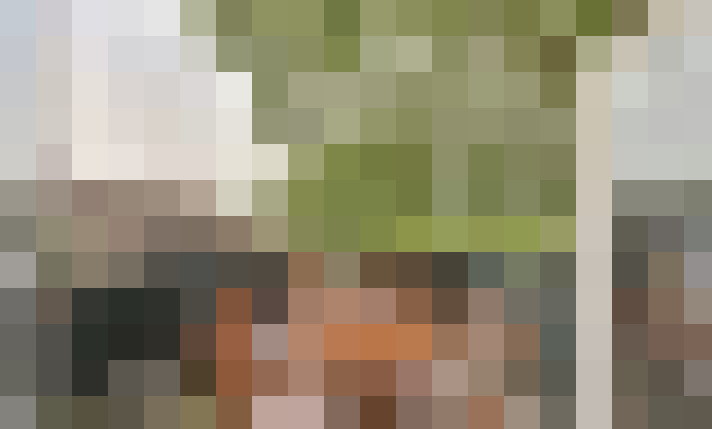  / #24