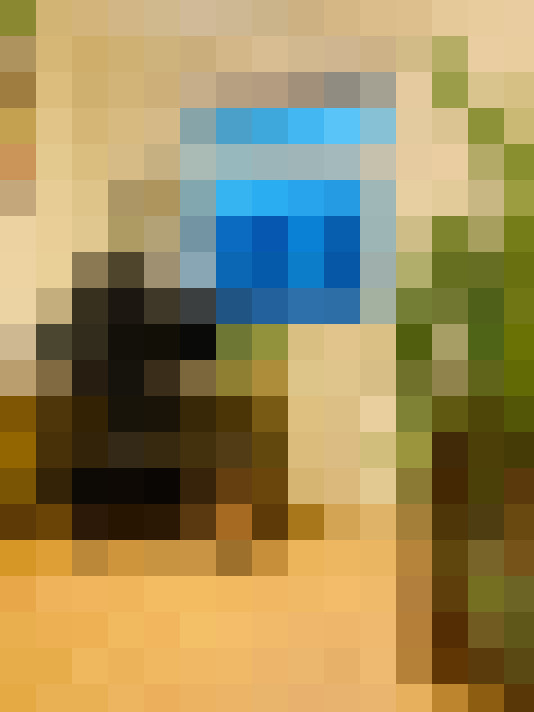  / #15
