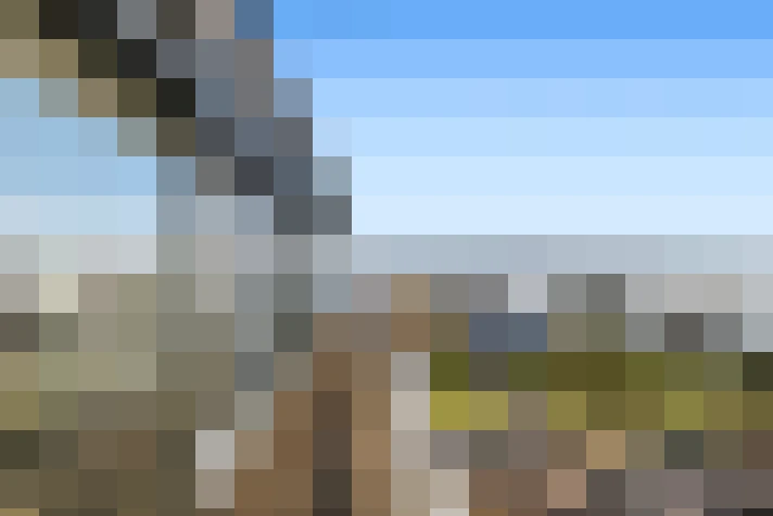  / #64