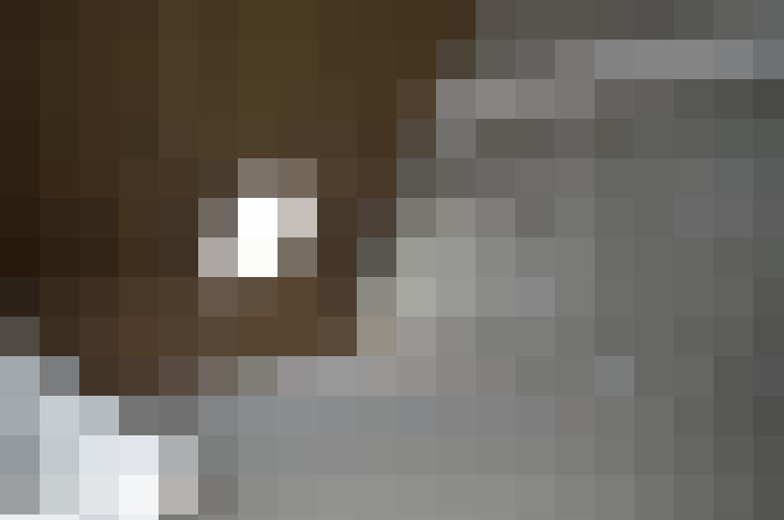  / #20