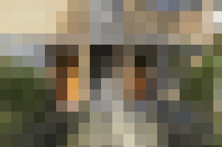  / #36