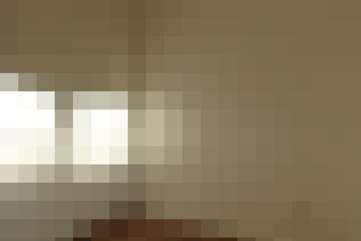  / #24