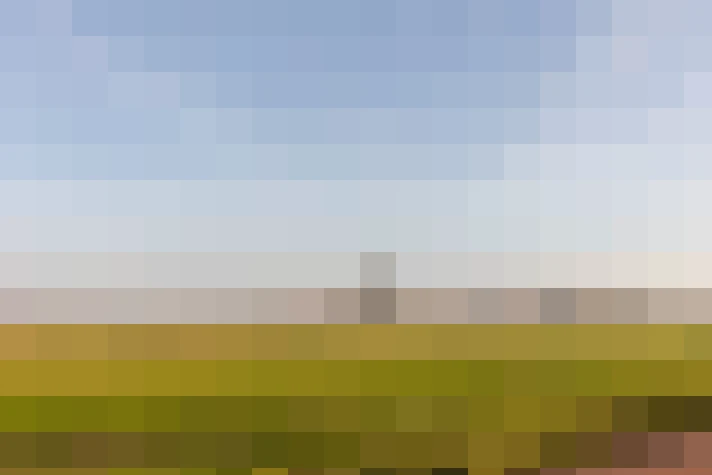  / #59