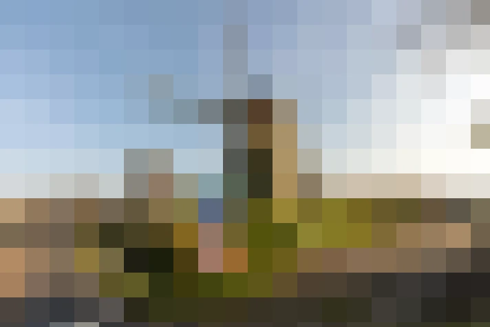  / #61