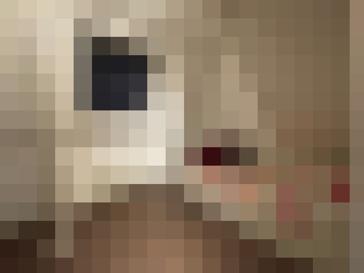  / #23