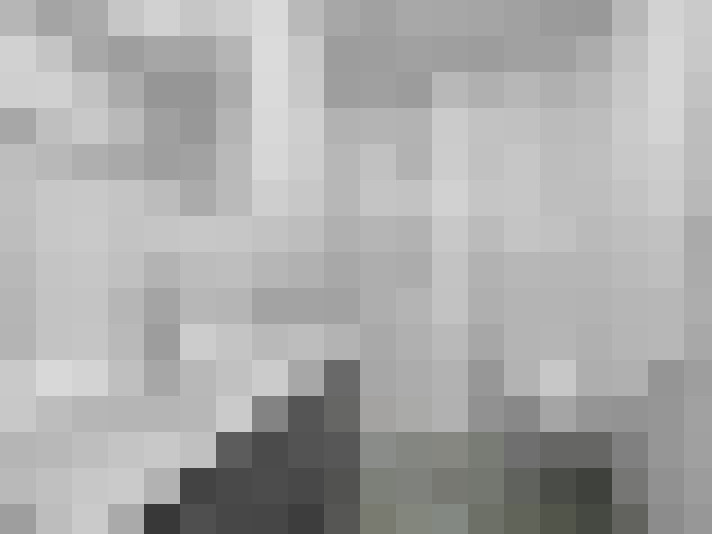  / #15