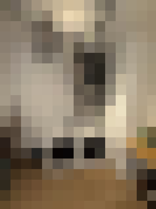  / #22