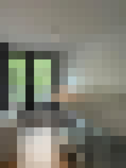  / #14