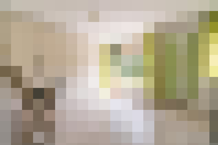  / #19