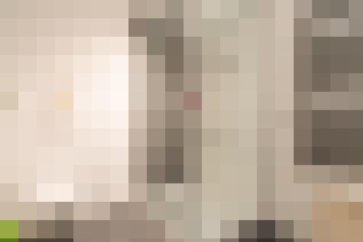  / #21
