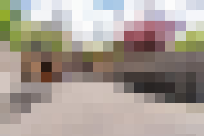  / #14
