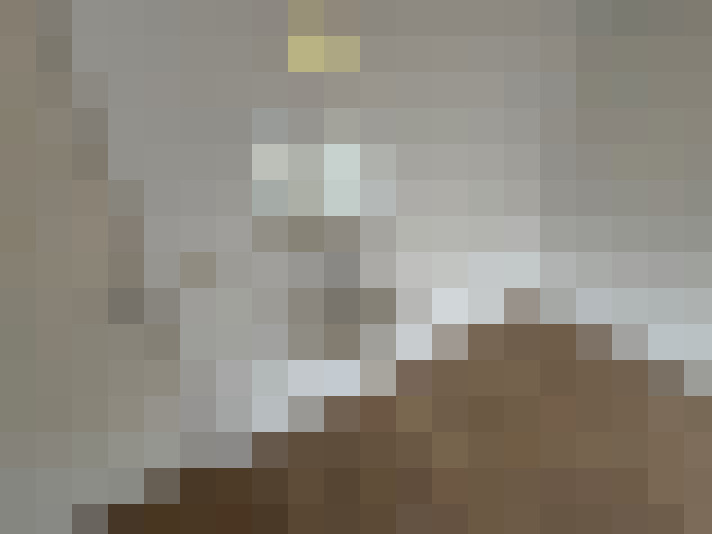  / #11