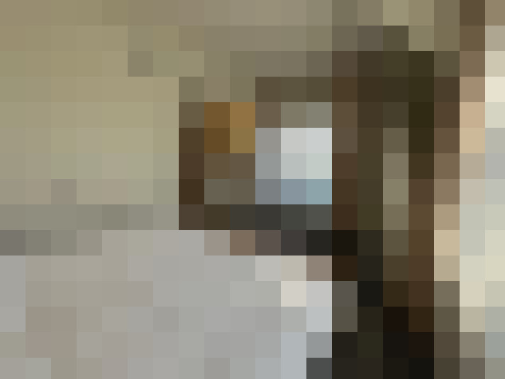  / #13