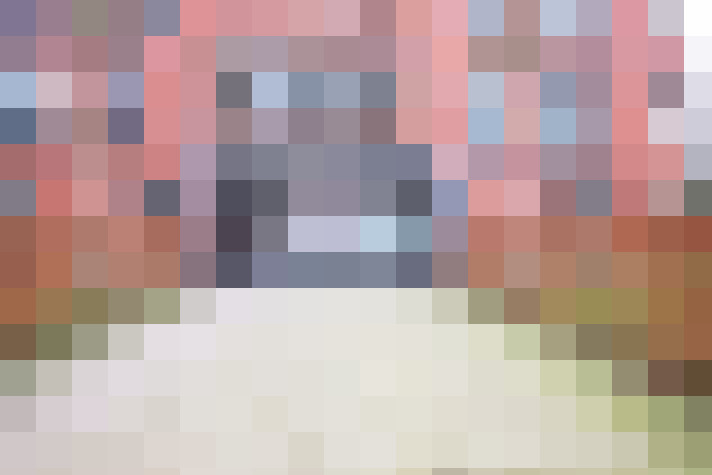  / #19