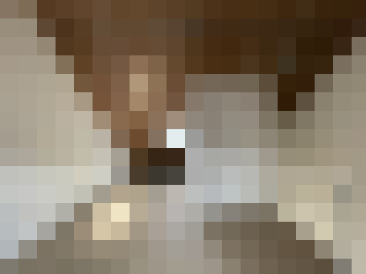  / #20