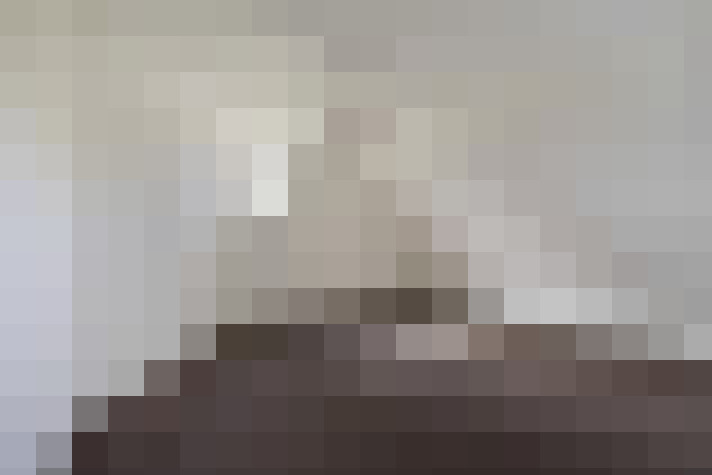  / #21