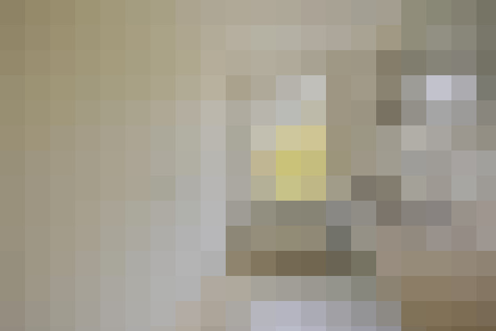  / #16