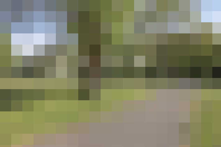  / #16
