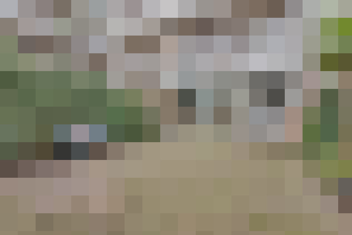  / #13
